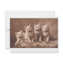 *The Aristocrats* Vintage Kitten Portrait invitations by ArtisticFootprints *The Aristocrats* Vintage Kitten Portrait invitations