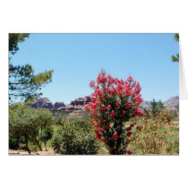The Arizona Desert cards by magichappens The Arizona Desert cards