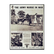 The Army Nurse In War Post Card