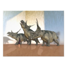 The art installation photographic print
