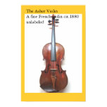 violin, french, 1880, miscellaneous