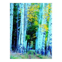 The Aspen Road posters by dawntheartist The Aspen Road posters