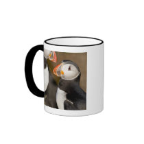The Atlantic Puffin, a pelagic seabird, shown Coffee Mug