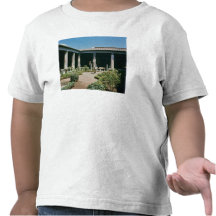 The Atrium, House of the Vettii Tee Shirts