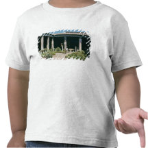 The Atrium, House of the Vettii Tshirt