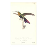 The Aurulent Hummingbird by Rene Primevere Lesson Posters