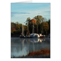 The Autumn cards