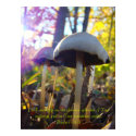 The Autumn Splendor Place poster posters by MAPASUE The Autumn Splendor Place poster posters