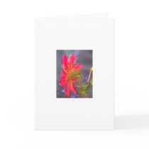 The Backside of a Pretty Zinnia Greeting Cards