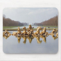 The Backyard Mousepad