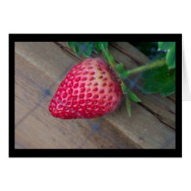 The Backyard Strawberry cards by KaijsaB The Backyard Strawberry cards