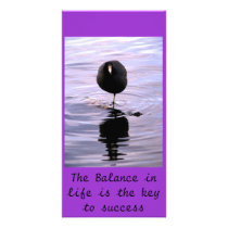 The Balance in life is th... Photo Card