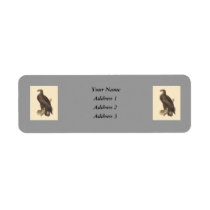 The Bald Eagle (Haliaetos leucocephalus) Custom Return Address Labels