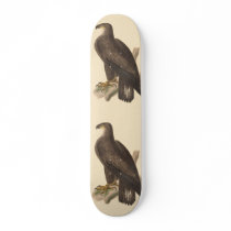 The Bald Eagle (Haliaetos leucocephalus) Skate Boards