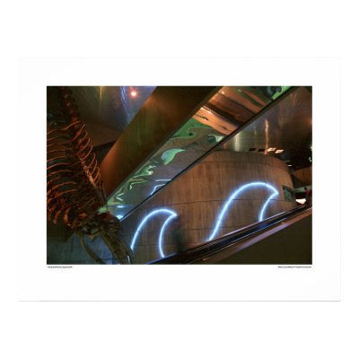 The Baltimore Aquarium Print by William_Hanson