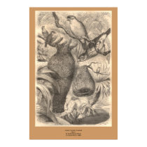 The Baltimore Weaver posters