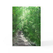 The Bamboo Forest cards