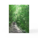 The Bamboo Forest cards by joeyartist The Bamboo Forest cards