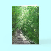 The Bamboo Forest cards by joeyartist The Bamboo Forest cards