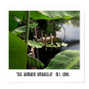 The Bamboo Umbrella posters