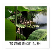The Bamboo Umbrella posters by Melody_Long The Bamboo Umbrella posters