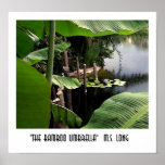The Bamboo Umbrella posters