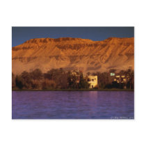 The Banks Of The Nile Post Card