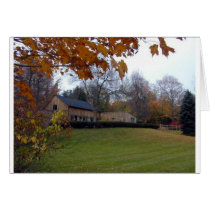 The Barn cards