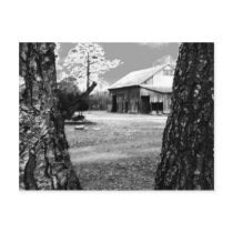 The Barn in Black & White Postcards
