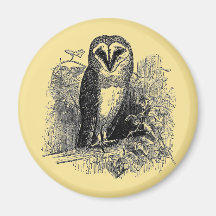 The Barn Owl Fridge Magnets