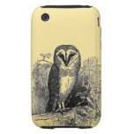 The Barn Owl iPhone 3 Tough Case