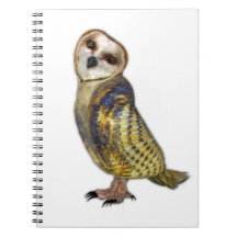 The Barn Owl Notebook
