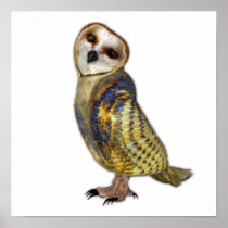 The Barn Owl Print