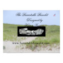 The Barnstable Bracelet posters by sandkfran The Barnstable Bracelet posters