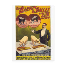 The Barnum & Bailey greatest show on earth--Troupe Postcards