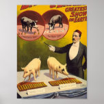 The Barnum & Bailey greatest show on earth--Troupe Poster