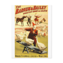 The Barnum & Bailey greatest show on earth Wonderf Post Cards
