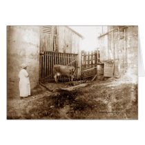 The Barnyard cards by bhbphotos The Barnyard cards