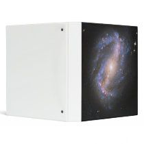The Barred Spiral Galaxy NGC 6217 Binder