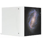 The Barred Spiral Galaxy NGC 6217 Binder