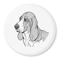 THE BASSET HOUND MAGNETS