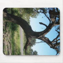 The Bat Tree Mousepad