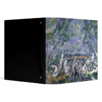 The Bathers, 1902-06 Vinyl Binders