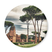 The Baths of Caracalla in Rome Refrigerator Magnet