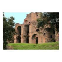The Baths of Caracalla posters