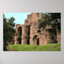 The Baths of Caracalla Posters