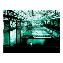 The Baths - Postcard