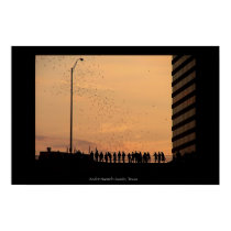 The bats of Austin posters by DigitalApoptosis The bats of Austin posters