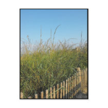 the Beach ~ 19 Post Card