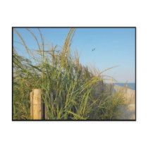 the Beach ~ 20 Post Cards